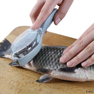 Fish scale remover – Elimina le squame di pesce 03