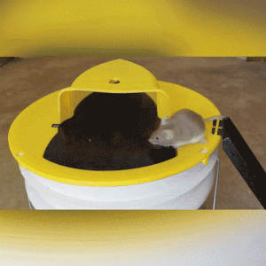 Mousetrap – Trappola per topi per topi e ratti 03